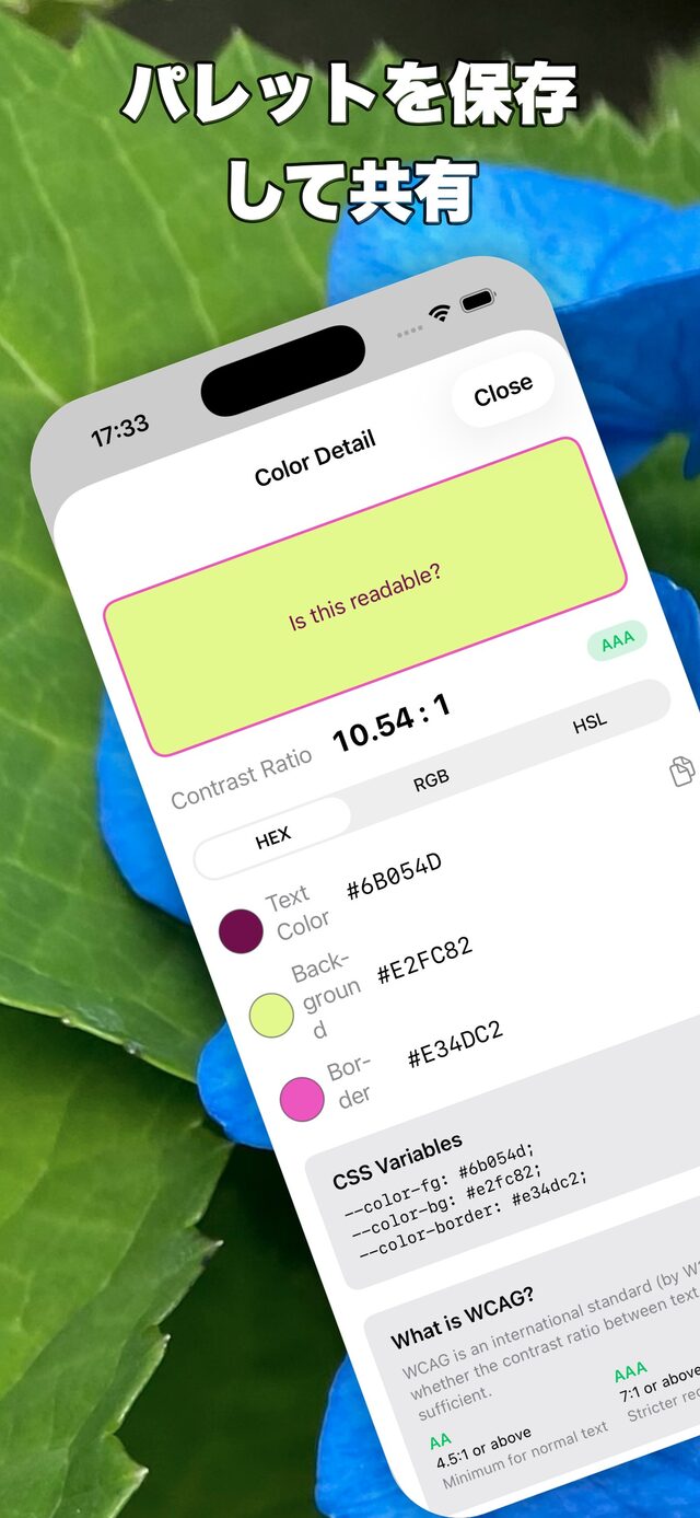 色の詳細画面でHEX・RGBとCSS変数を表示している画面